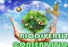 AI for Biodiversity Conservation