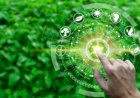 Green IT: Sustainable Technologies and Practices in the Tech Industry