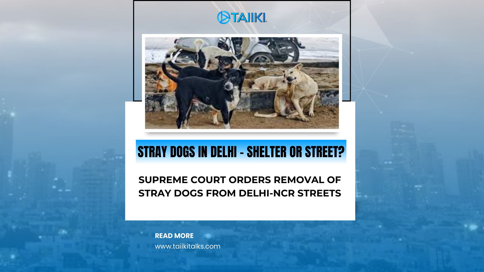 Supreme Court Orders Removal of Stray Dogs from Delhi-NCR Streets