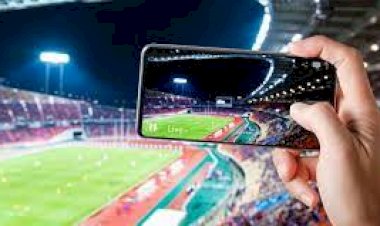 Harnessing the Passion of Sports Platforms: A Winning Strategy for Brands