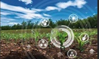Smart Agriculture: AI for Sustainable Farming