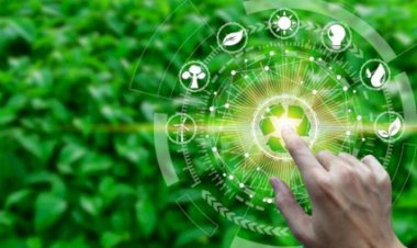 Green IT: Sustainable Technologies and Practices in the Tech Industry