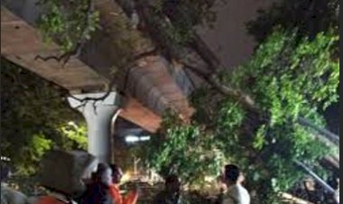 Bengaluru Metro Services on Purple Line Restored After Disruption