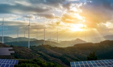 Green Energy Solutions: Reducing Pollution and Creating Jobs in India