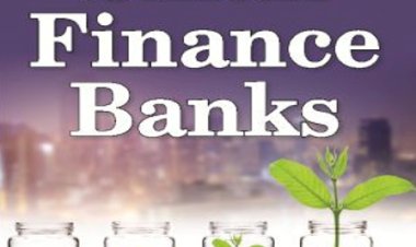 Demystifying path of transition of small finance banks