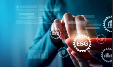 The Rise of Sustainable Investing and ESG Funds
