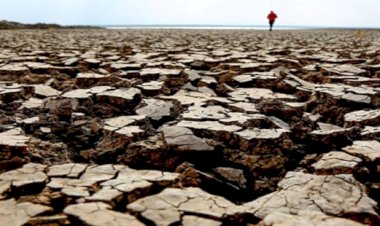 Understanding the Impact: When Global Temperature Touches 1.5 Degrees Celsius