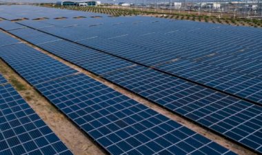 India's Ambitious Renewable Energy Goals: A Steep Climb Ahead