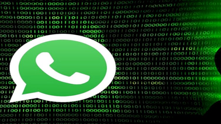 Beware the WhatsApp Trading Trap: The Pune Brothers' Rs 2 Crore Scam