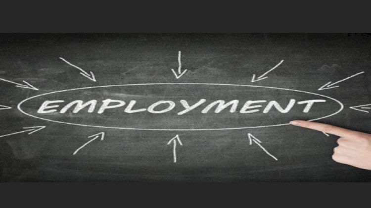 The Changing Landscape: Redefining Employment in the Digital Age