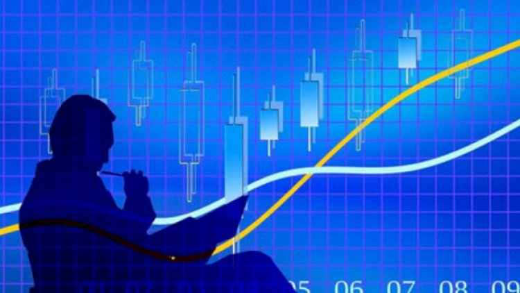 Navigating the Post-Election Market Landscape