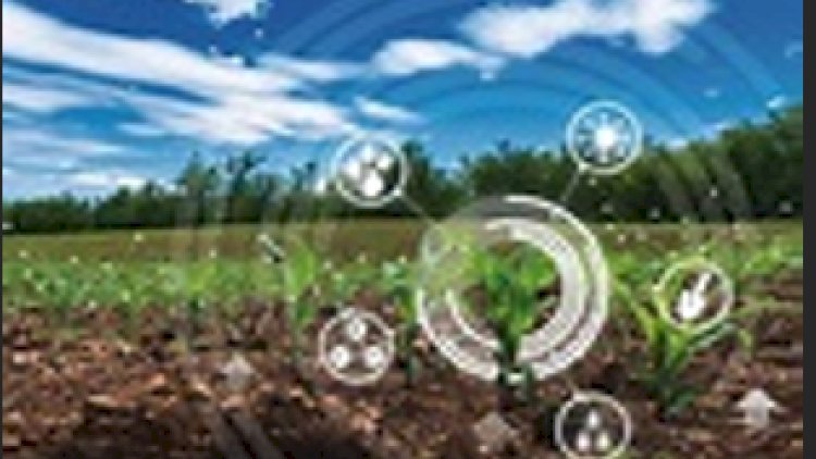 Smart Agriculture: AI for Sustainable Farming