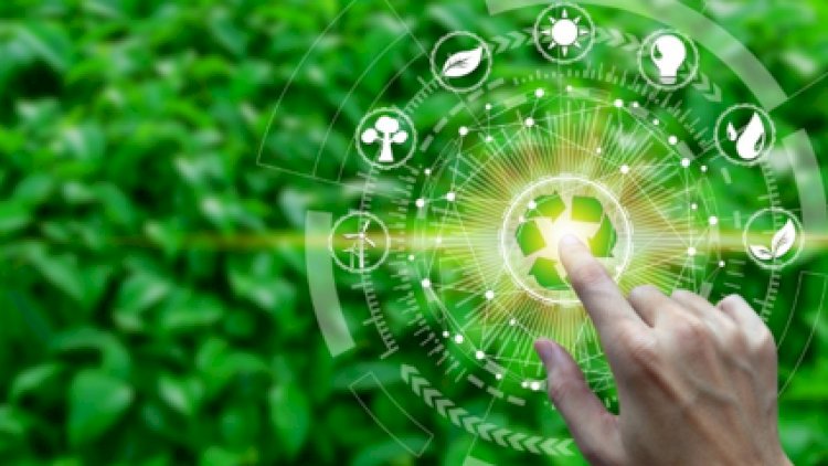 Green IT: Sustainable Technologies and Practices in the Tech Industry