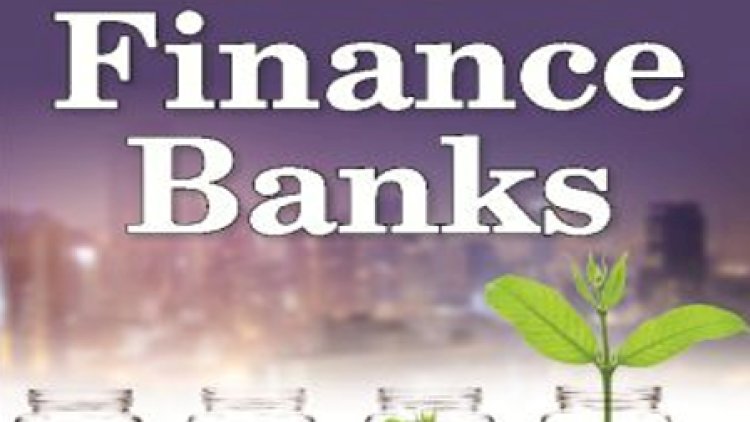 Demystifying path of transition of small finance banks