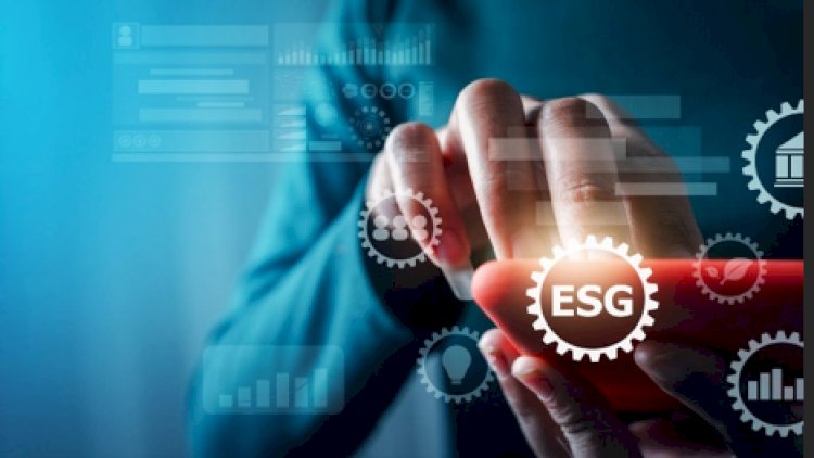 The Rise of Sustainable Investing and ESG Funds