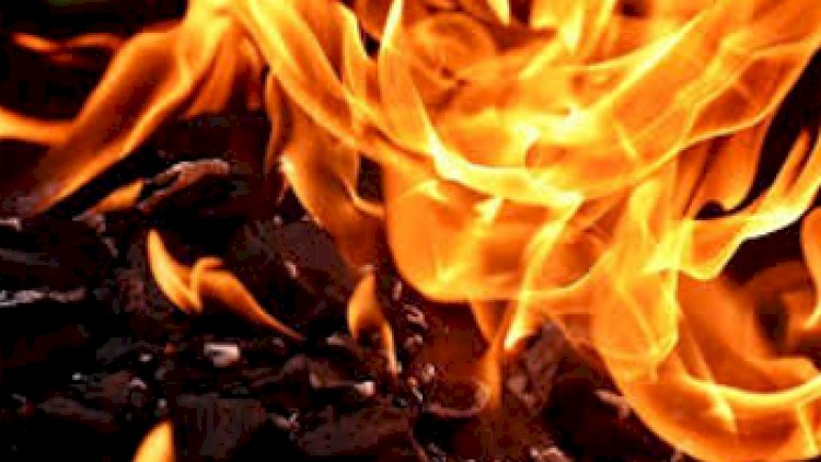 Mumbai News: LPG Cylinder Blast at House in Chembur, 10 Injured