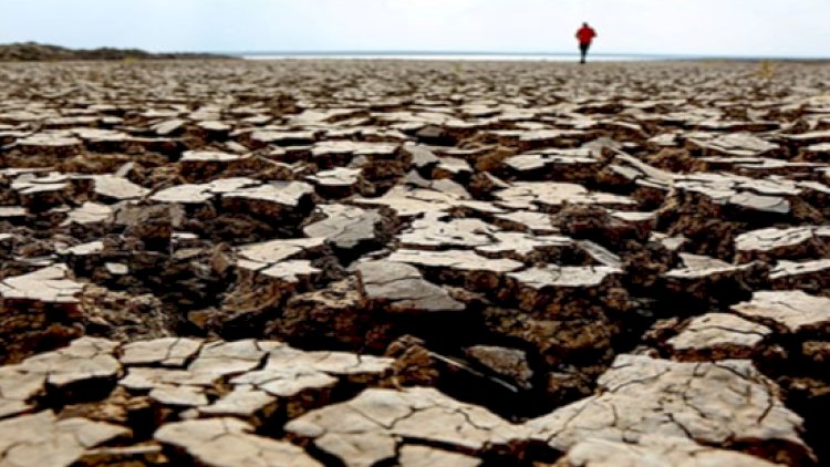 Understanding the Impact: When Global Temperature Touches 1.5 Degrees Celsius